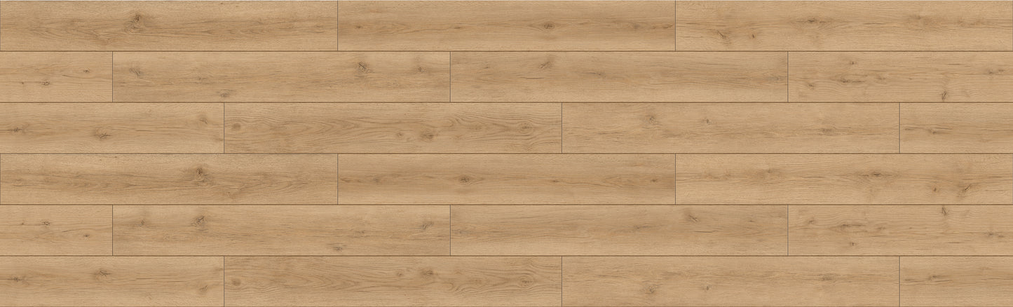 Warm Mid Oak 8mm Laminate Flooring